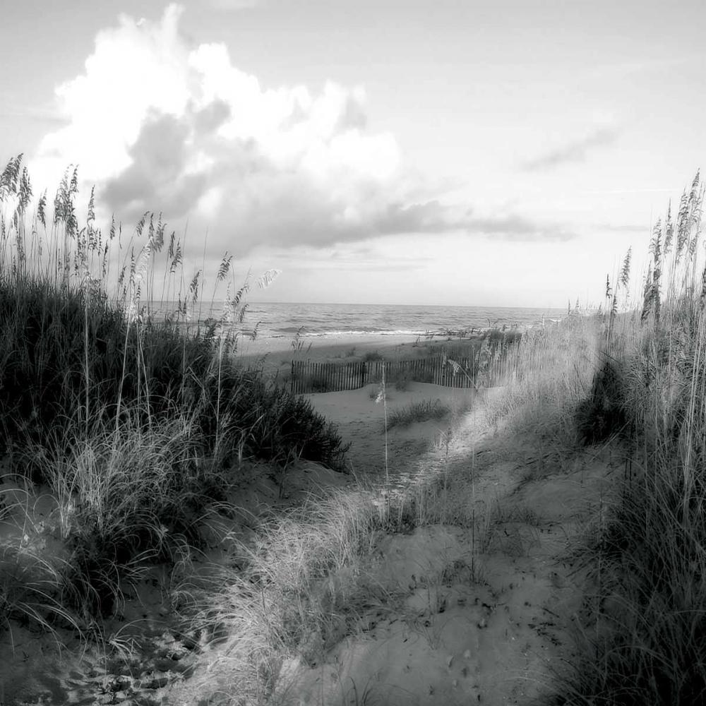 Dunes I Sq. BW art print by Alan Hausenflock for $57.95 CAD