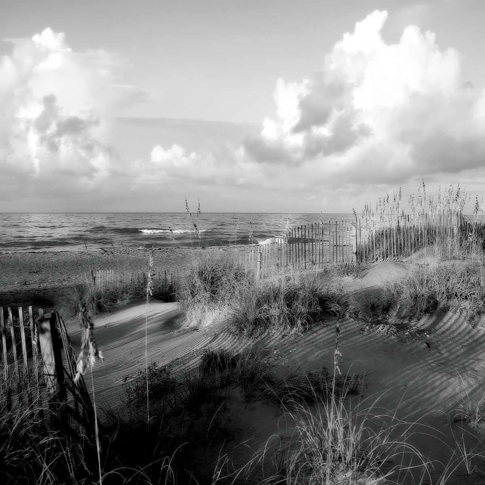 Dunes II Sq. BW art print by Alan Hausenflock for $57.95 CAD