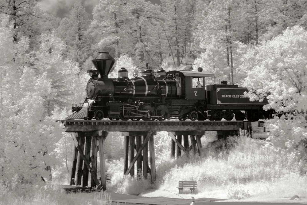 Black Hills RR I art print by George Johnson for $57.95 CAD