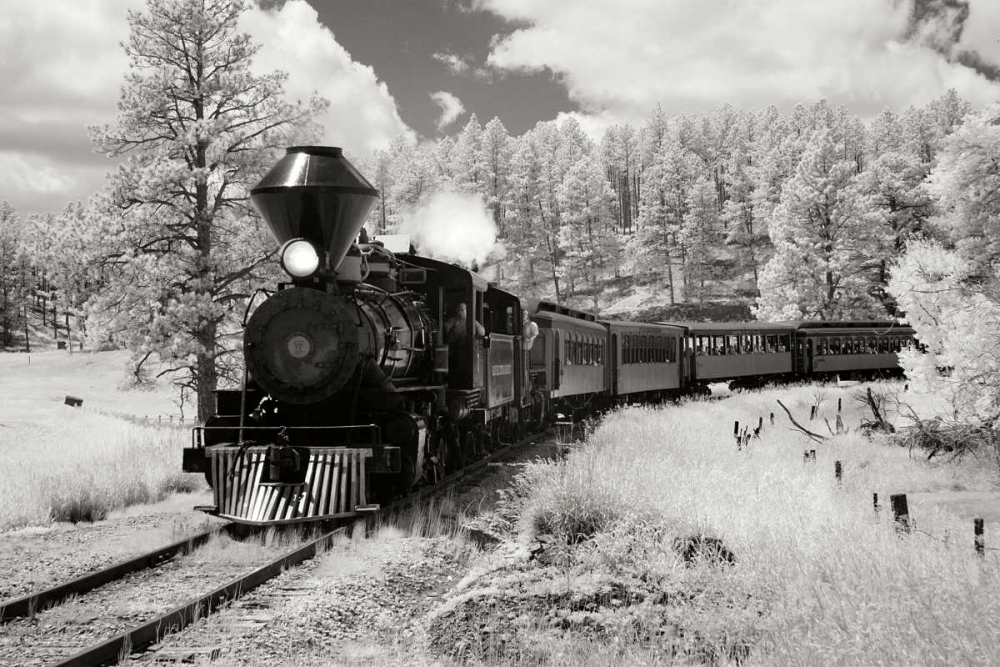 Black Hills RR II art print by George Johnson for $57.95 CAD