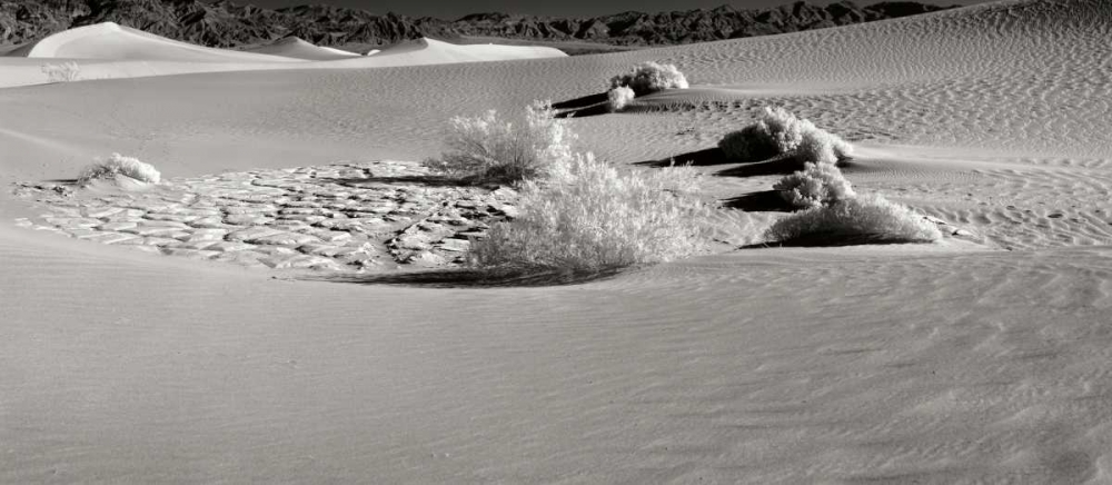 Death Valley Dunes I art print by George Johnson for $57.95 CAD