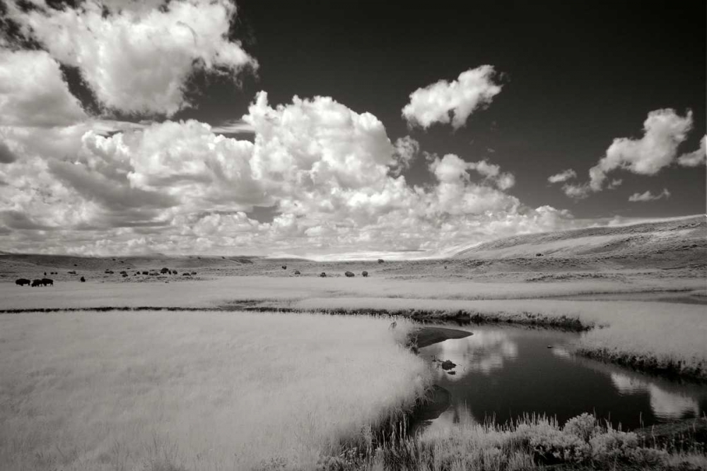 Yellowstone Creek and Clouds I art print by George Johnson for $57.95 CAD
