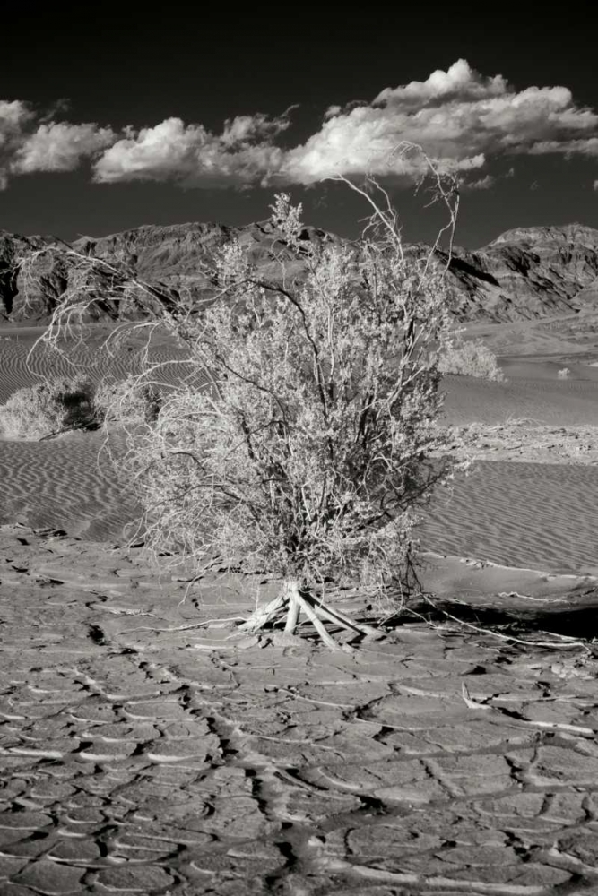 Death Valley Dunes I art print by George Johnson for $57.95 CAD