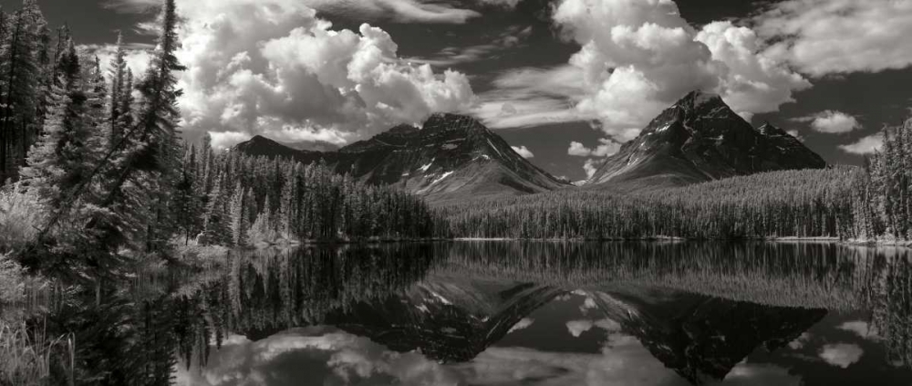 Leach Lake art print by George Johnson for $57.95 CAD