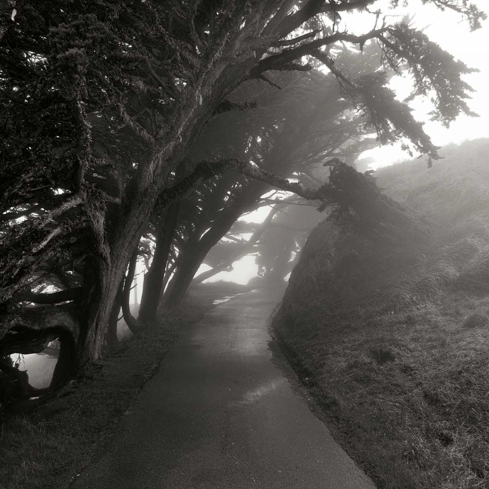 Point Reyes III art print by George Johnson for $57.95 CAD