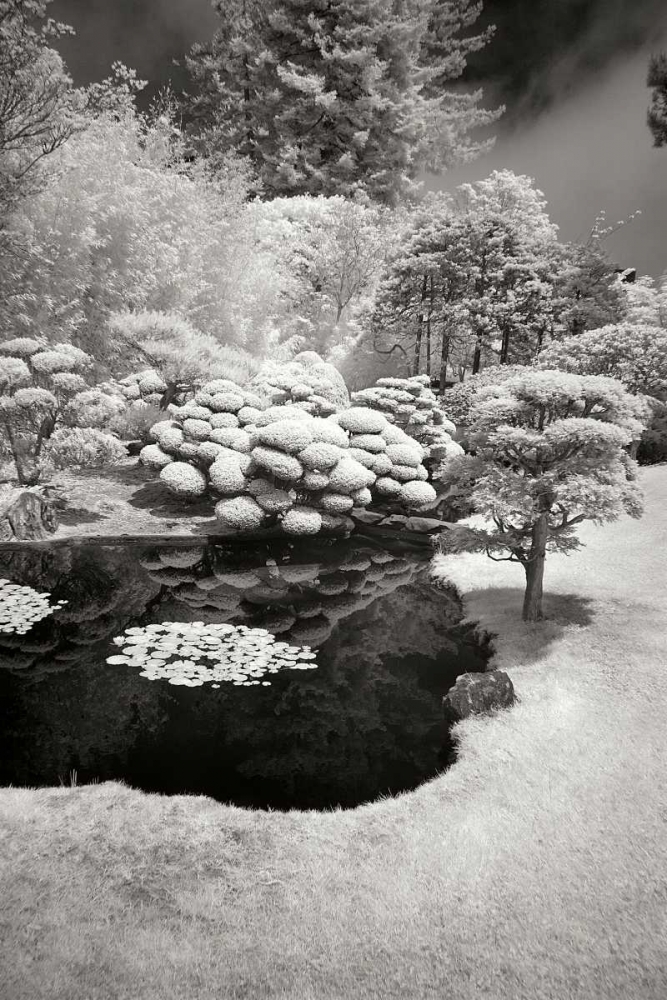 San Francisco Garden III art print by George Johnson for $57.95 CAD