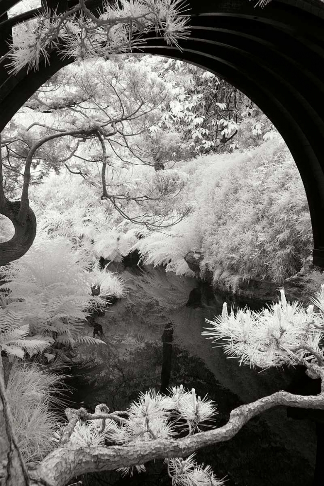 San Francisco Garden IV art print by George Johnson for $57.95 CAD