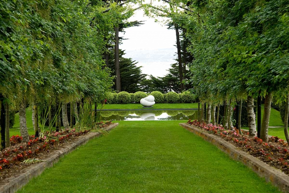 New Zealand Garden art print by George Johnson for $57.95 CAD