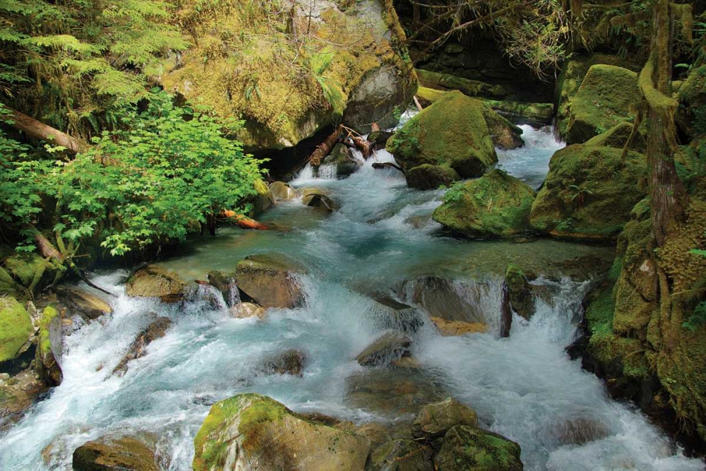 North Cascades NP I art print by George Johnson for $57.95 CAD