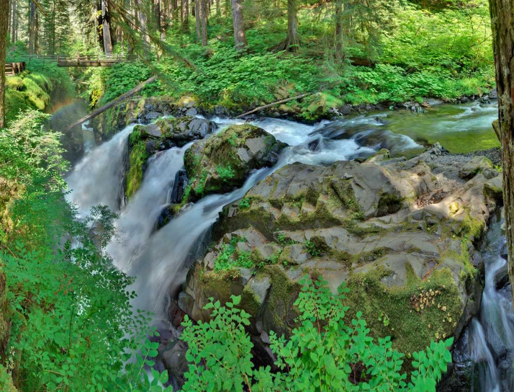 Port Angeles Falls I art print by George Johnson for $57.95 CAD