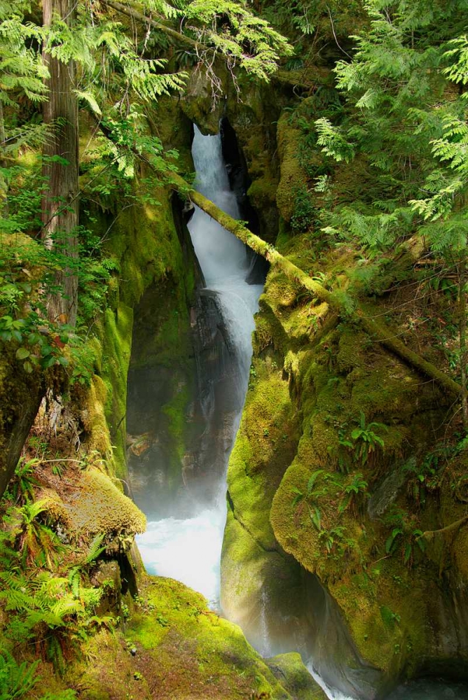 North Cascades NP III art print by George Johnson for $57.95 CAD