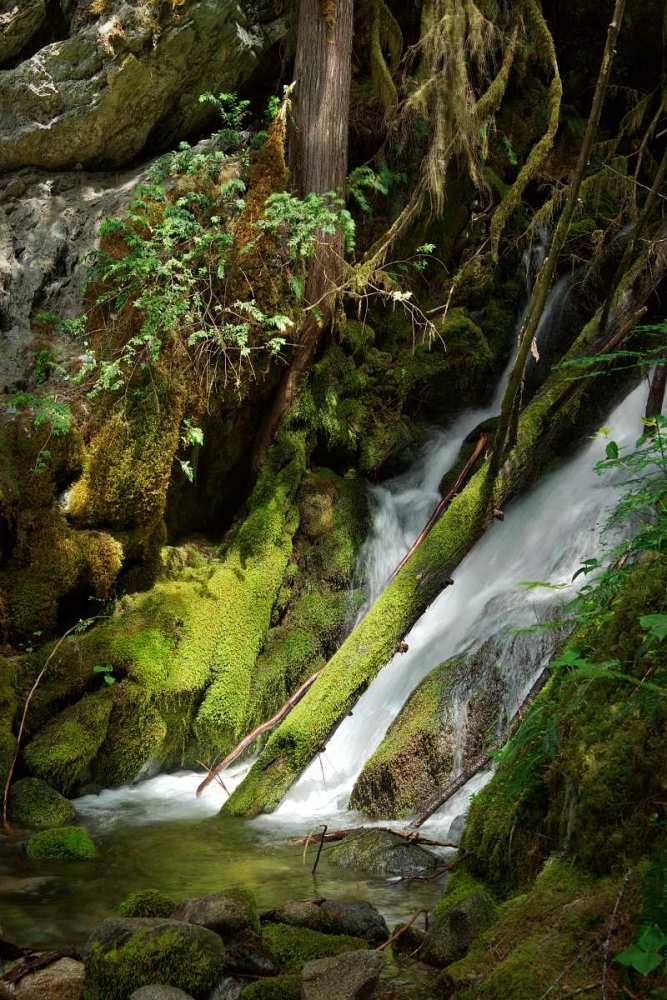 North Cascades NP IV art print by George Johnson for $57.95 CAD