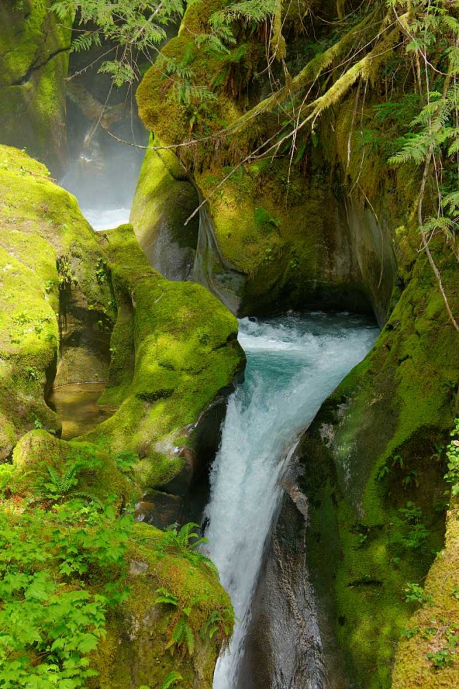 North Cascades NP V art print by George Johnson for $57.95 CAD