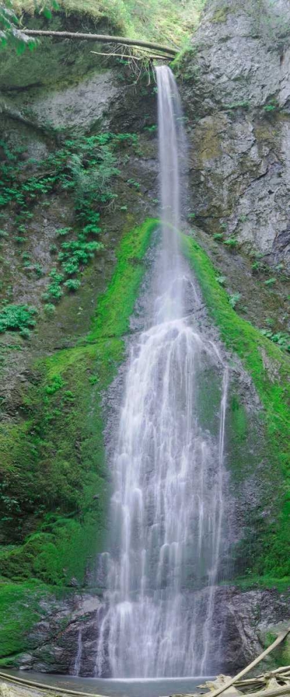 Port Angeles Falls art print by George Johnson for $57.95 CAD