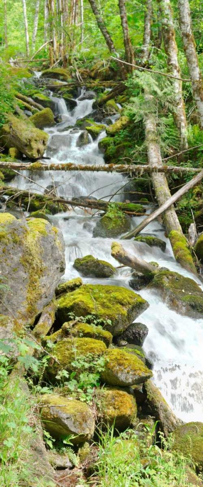 North Cascades NP VI art print by George Johnson for $57.95 CAD