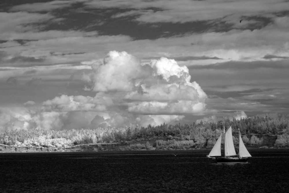 Port Townsend Sailboat I art print by George Johnson for $57.95 CAD