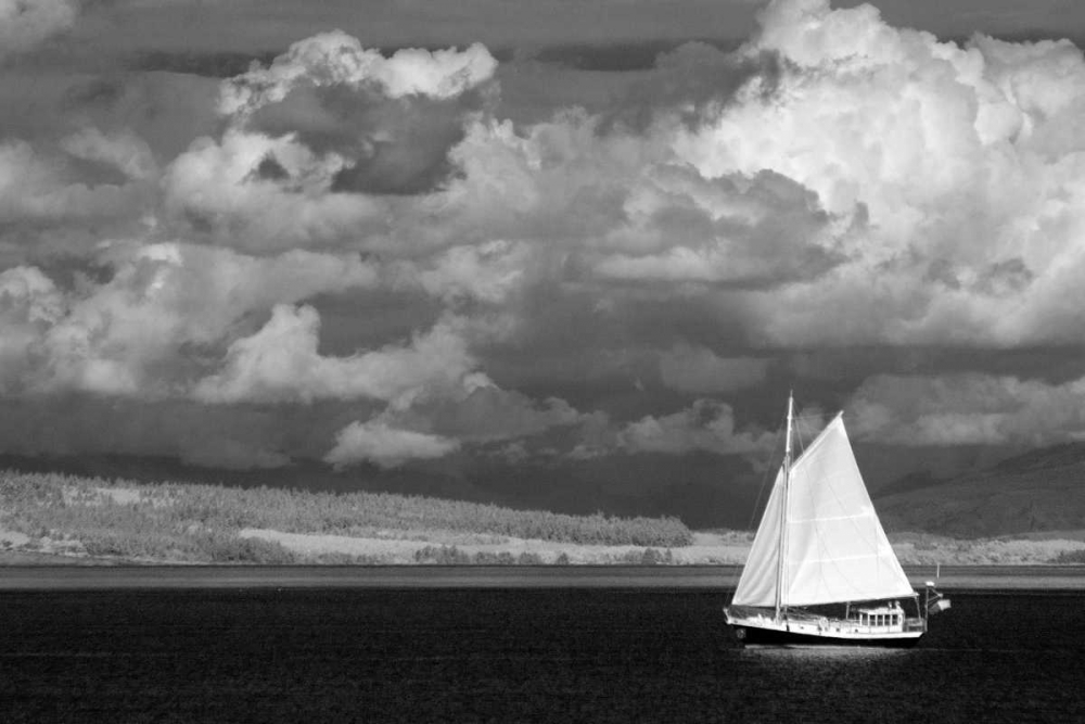Port Townsend Sailboat II art print by George Johnson for $57.95 CAD
