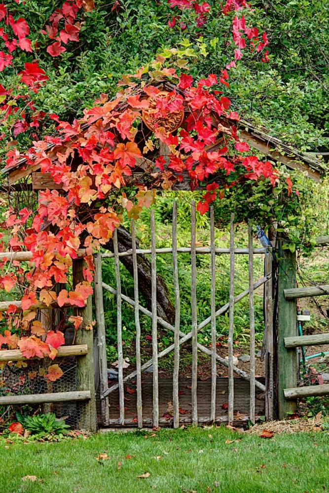 The Garden Gate art print by George Johnson for $57.95 CAD