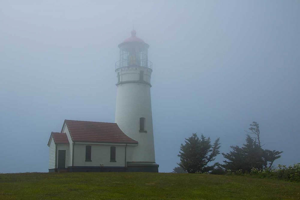 Cape Blanco Lighthouse art print by George Johnson for $57.95 CAD