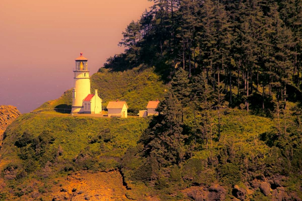 Heceta Head Lighthouse art print by George Johnson for $57.95 CAD