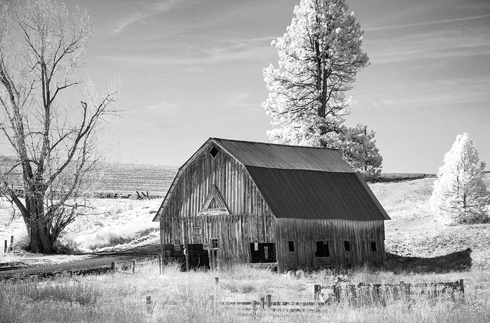 Palouse Barn art print by George Johnson for $57.95 CAD
