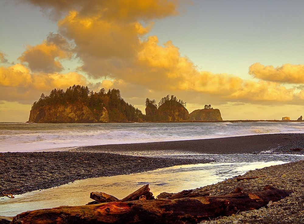 La Push Sea Stacks art print by George Johnson for $57.95 CAD