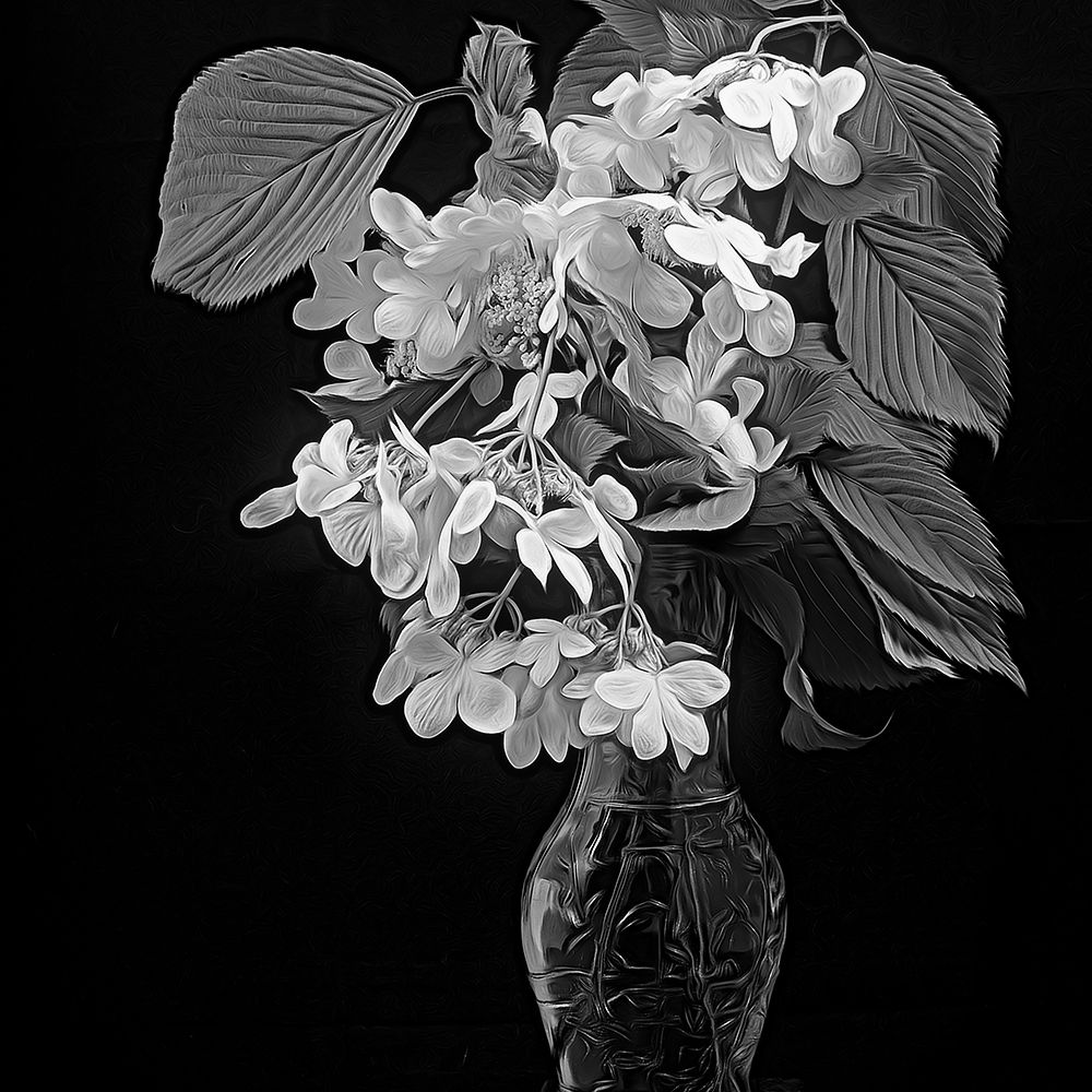 White Dogwood art print by George Johnson for $57.95 CAD