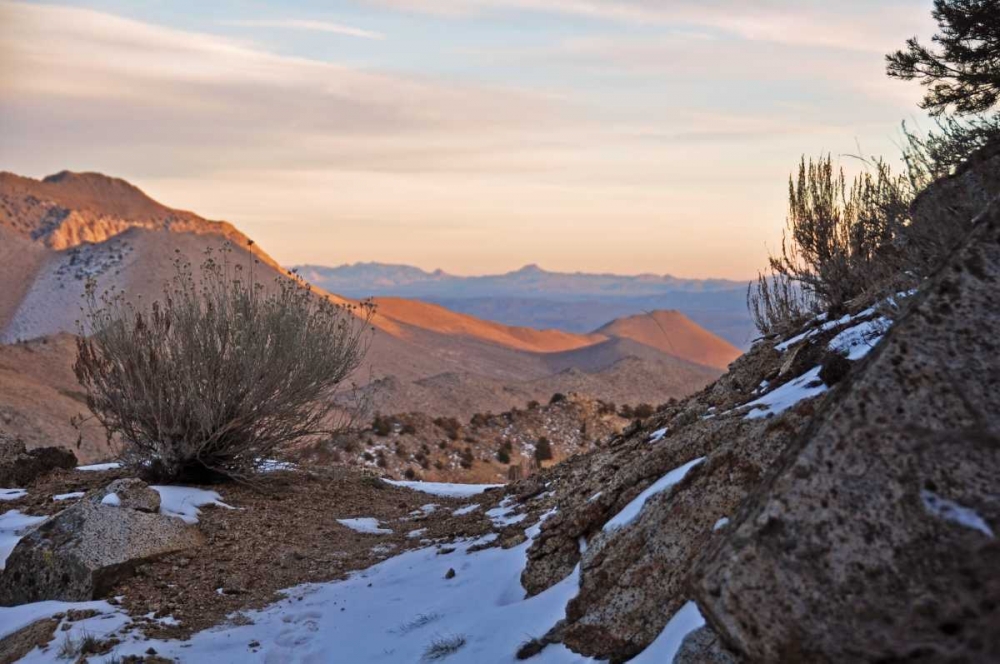 Desert I art print by Brian Kidd for $57.95 CAD