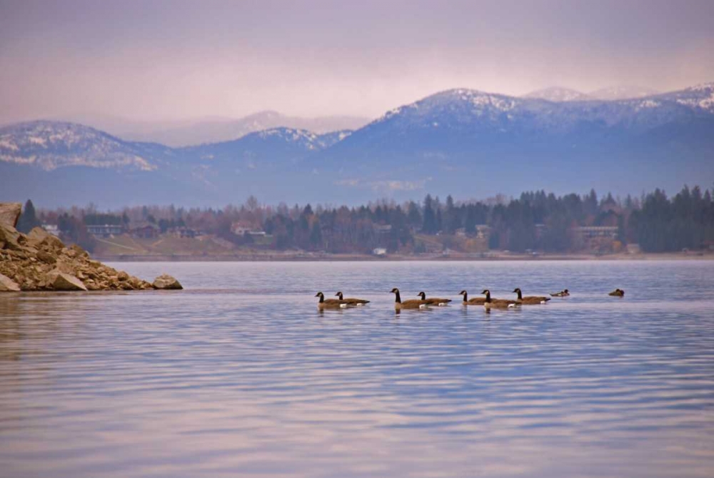 Sandpoint I art print by Brian Kidd for $57.95 CAD