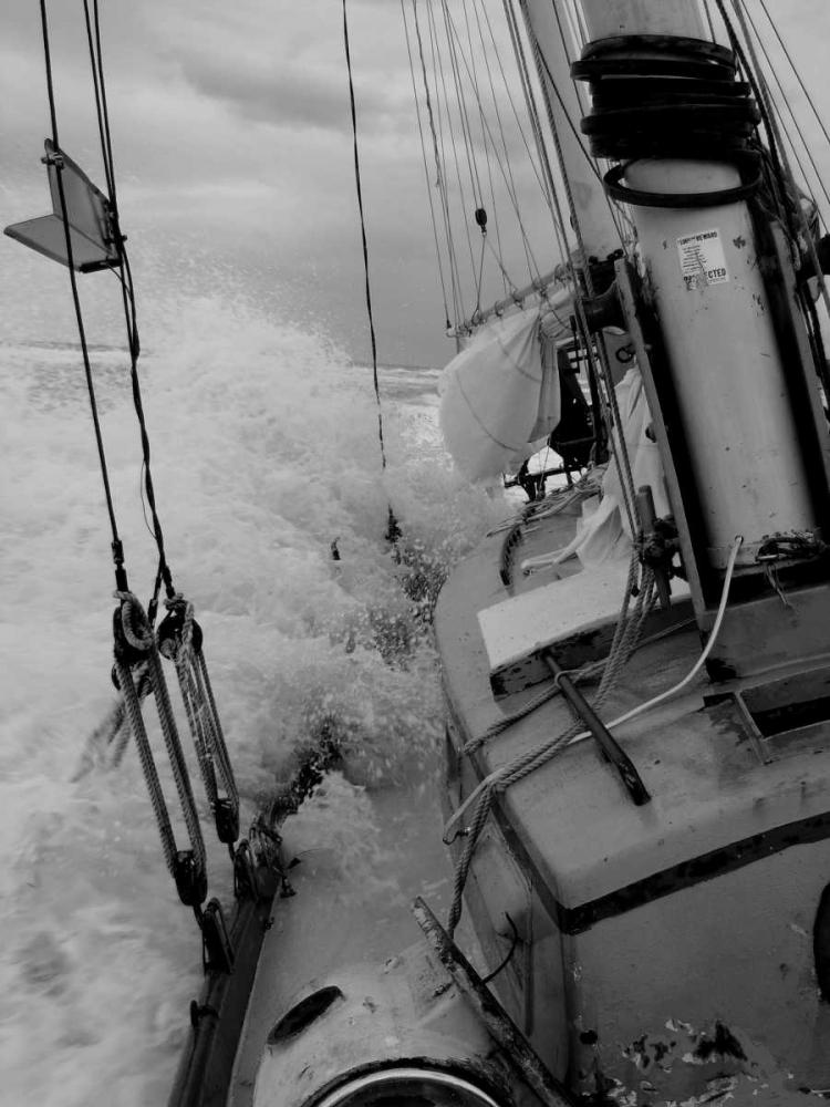 Life at Sea I art print by Brian Kidd for $57.95 CAD