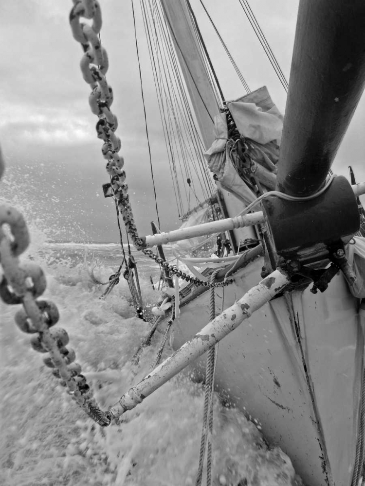 Life at Sea II art print by Brian Kidd for $57.95 CAD