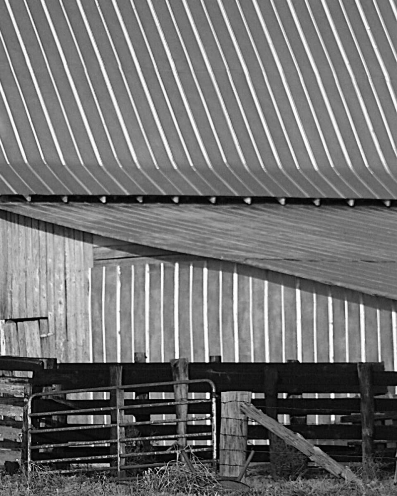 Big Barn II art print by Scott Larson for $57.95 CAD