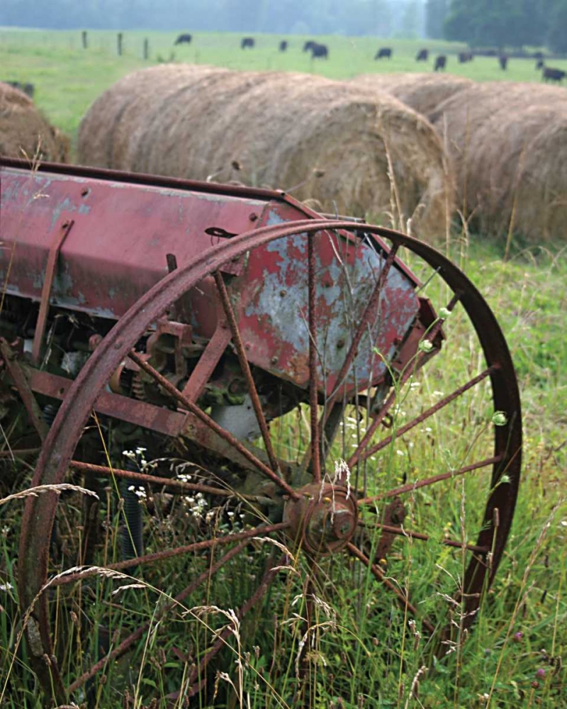 Sewing Seeds I art print by Scott Larson for $57.95 CAD
