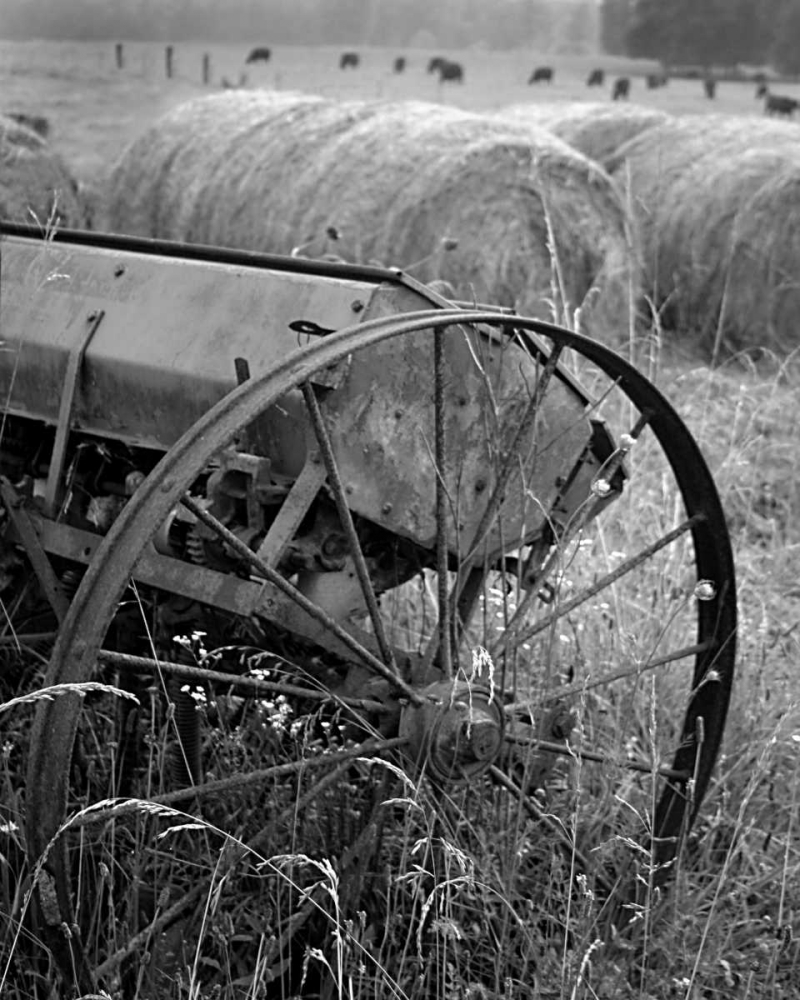 Sewing Seeds II art print by Scott Larson for $57.95 CAD