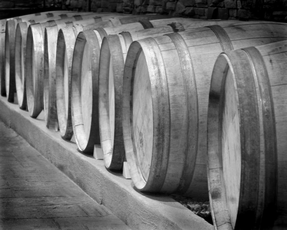 Winery I art print by Scott Larson for $57.95 CAD