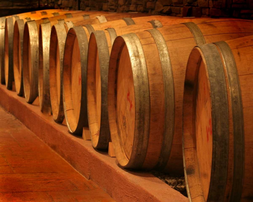 Winery III art print by Scott Larson for $57.95 CAD