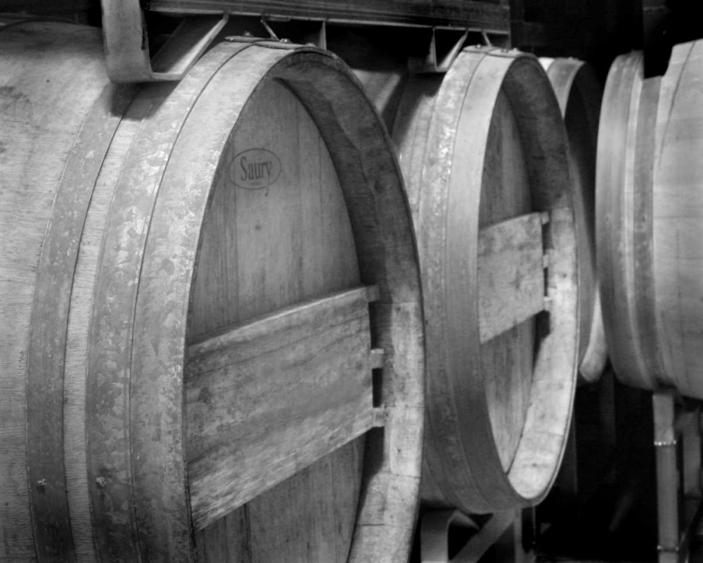 Winery IV art print by Scott Larson for $57.95 CAD