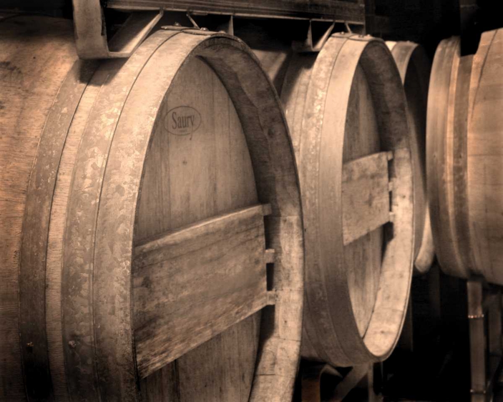 Winery V art print by Scott Larson for $57.95 CAD