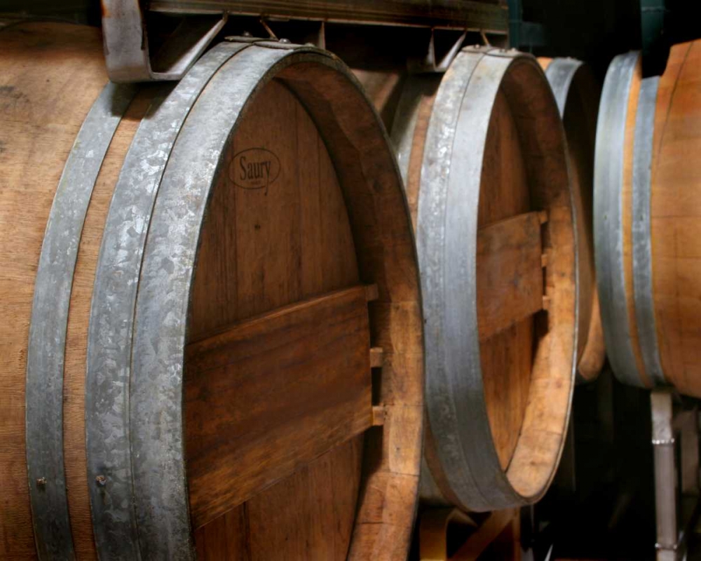 Winery VI art print by Scott Larson for $57.95 CAD