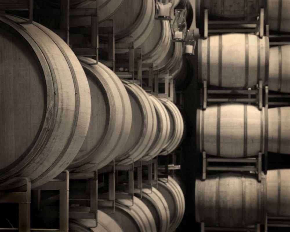 Winery VII art print by Scott Larson for $57.95 CAD