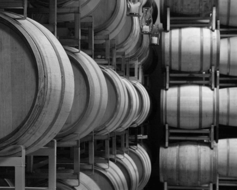 Winery VIII art print by Scott Larson for $57.95 CAD