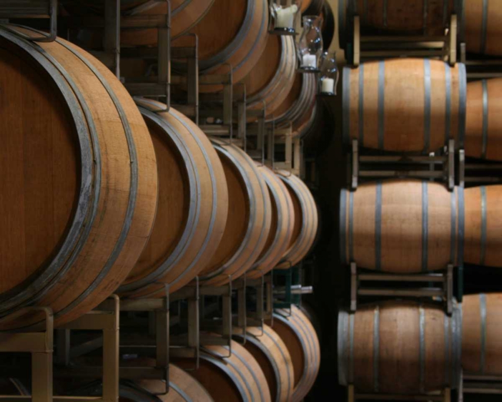 Winery IX art print by Scott Larson for $57.95 CAD