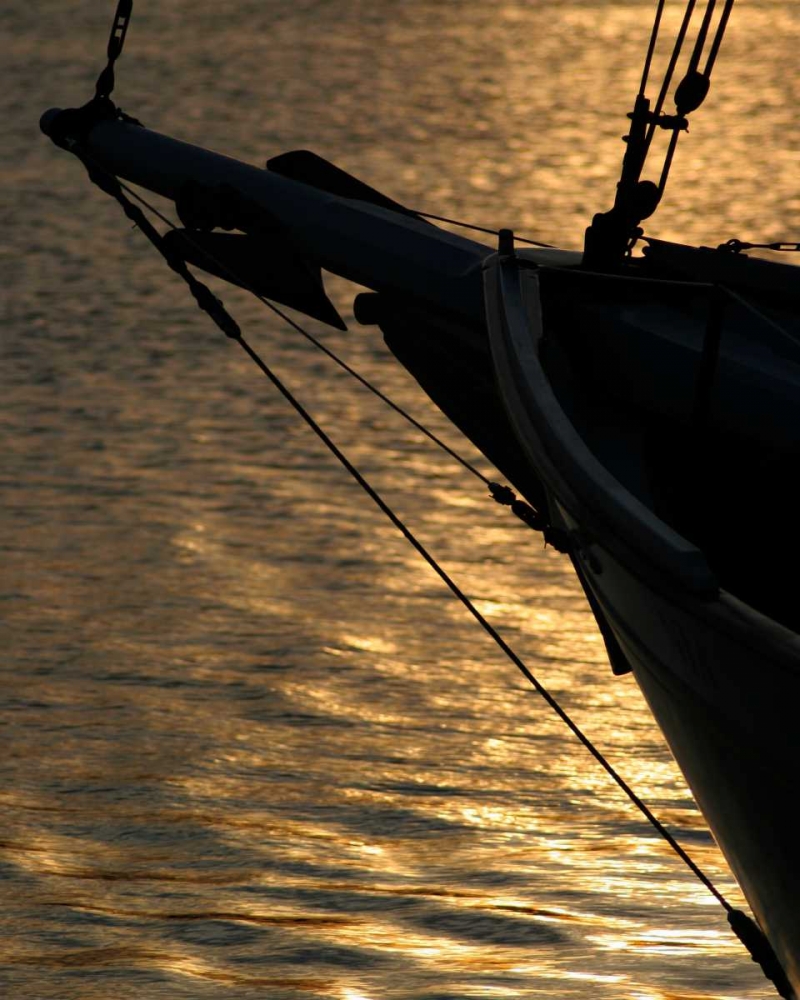 Sunset Sail I art print by Scott Larson for $57.95 CAD