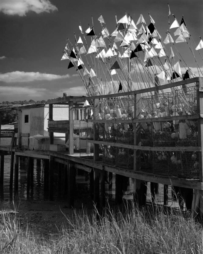 Estuary II art print by Scott Larson for $57.95 CAD