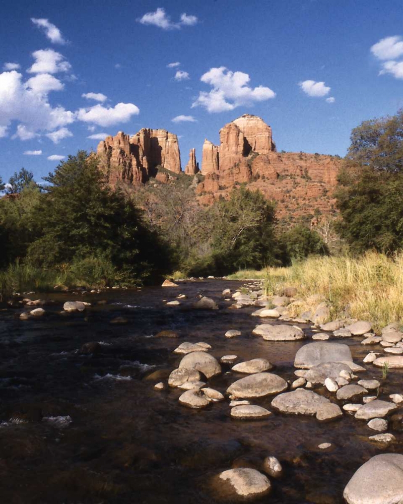 Desert Stream I art print by Scott Larson for $57.95 CAD