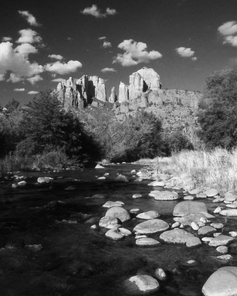 Desert Stream II art print by Scott Larson for $57.95 CAD
