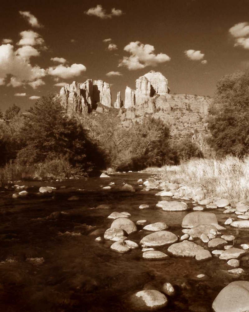 Desert Stream III art print by Scott Larson for $57.95 CAD