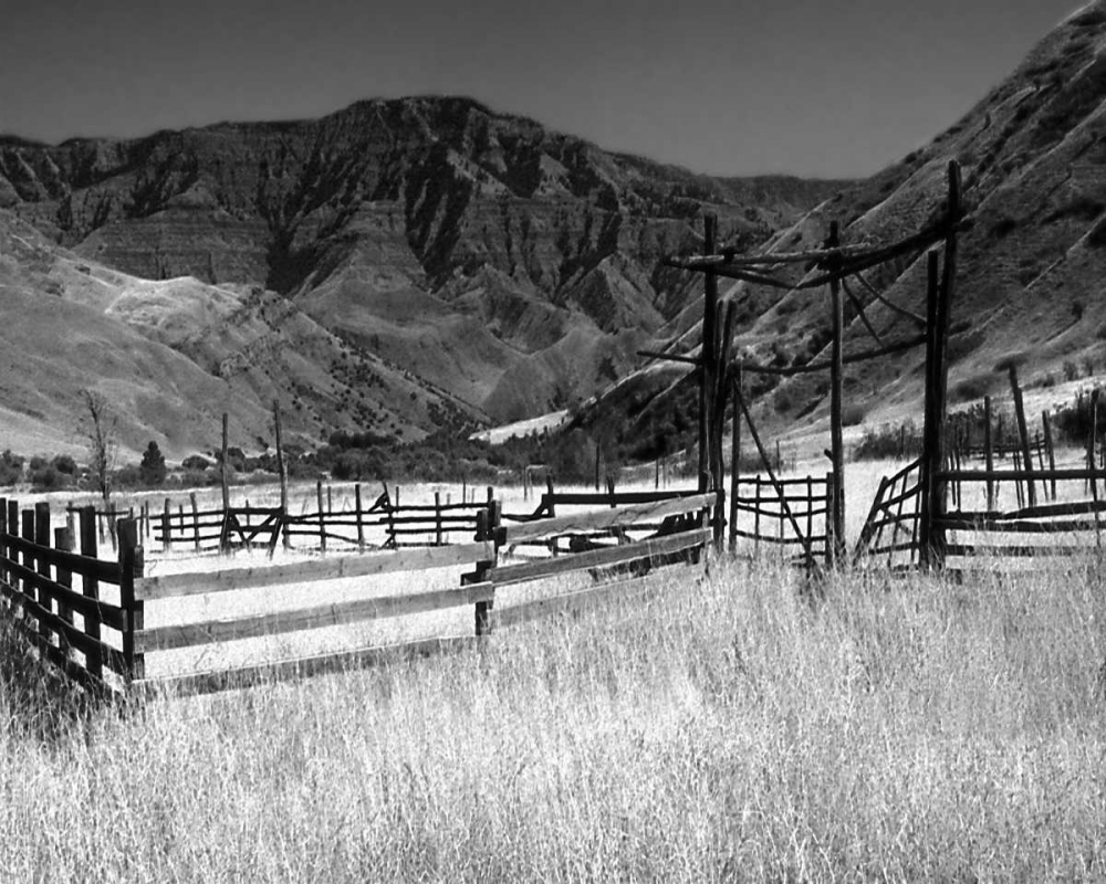 Summer Corral I art print by Scott Larson for $57.95 CAD