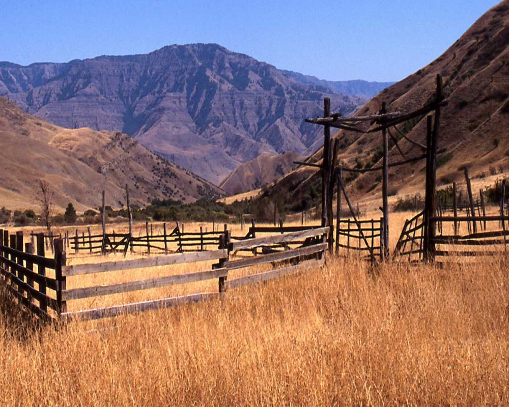 Summer Corral II art print by Scott Larson for $57.95 CAD