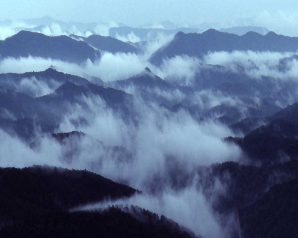 Smokey Mountains I art print by Scott Larson for $57.95 CAD